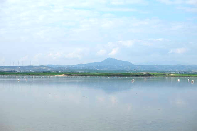 Соляное озеро в Ларнаке